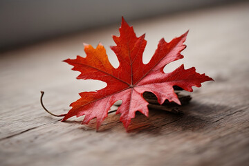 Eyecatching Watercolor Autumn Leaf