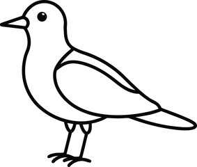 A plover bird line art vector illustration.