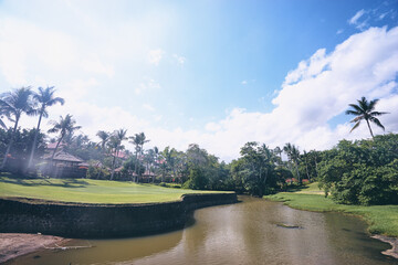 Tropical Resort Landscape with Palm Trees, Lush Greenery, and Serenity Under Blue Sky