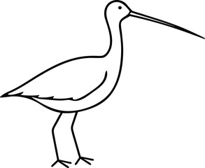Naklejka premium A snipe bird line art vector illustration.