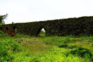 Overgrown old aqueduct on Sao Miguel, the largest island of the Azores in Portugal.
