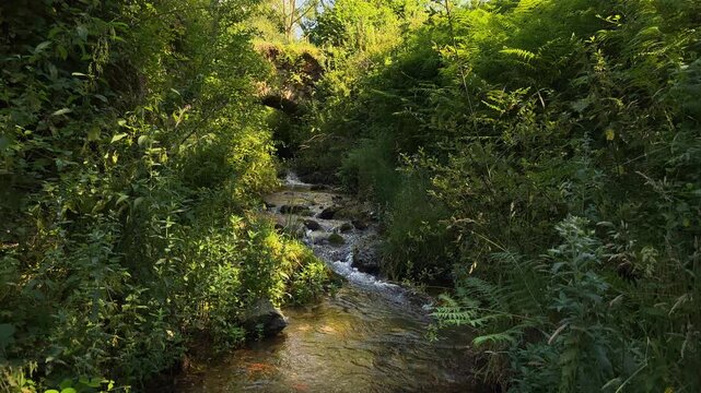 Idyllic landscape of an Ancient bridge over a stream in Pradoluengo, Burgos Spain., Spain. Nature landscape, rural tourism. High quality 4k footage