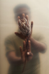 Young Black man holding protea flower with both hands pressed against translucent surface, face and...