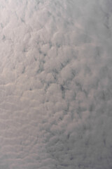 A full-frame texture of white altocumulus clouds covering an overcast sky. This abstract nature background evokes tranquility and shows weather patterns.