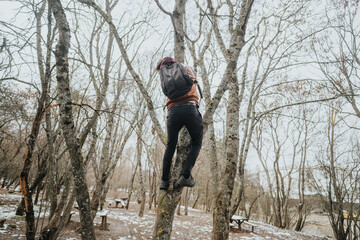 An individual climbing a tree during a cold winter day, surrounded by leafless trees and light snow...