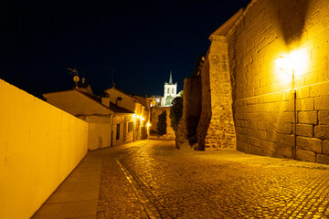 Cobblestone street in Zamora at night with illuminated buildings and historical architecture in...