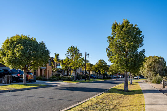 Quiet suburban street in Lara Australia lined with evenly spaced street trees, manicured lawns, and modern houses. A wide footpath, road verge greenery or nature strip in neighborhood
