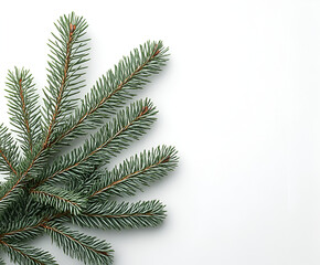 A natural blue spruce branch with detailed needles lies on a clean white background, creating a minimalist holiday composition.