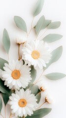 A soft arrangement of white daisies and eucalyptus leaves on a light background, ideal for designs related to nature, wellness, or floral themes in blogs, invitations, and greeting cards,