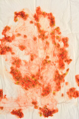 Tomato seeds, stained with red pulp, are spread out and drying on a white paper napkin
