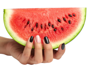 Female Hands with Red Manicure on Fresh Watermelon Slice with Green Leaves on Transparent Background