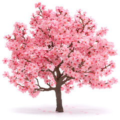 Fototapeta premium A vibrant pink cherry blossom tree against a white background.