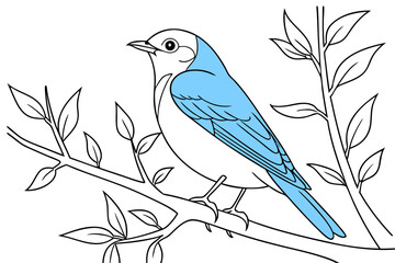 coloring page line art the bluebird black vector