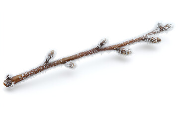 A single brown twig with buds is covered in delicate frost crystals on a white background.
