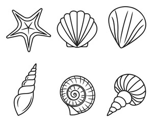 Obraz premium Simple outline illustrations of various seashells starfish and marine elements for design. seashell, shells, starfish, marine life, sea life.
