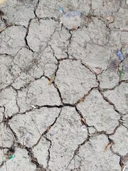 A captivating scene showcasing cracked dry soil with emerging vegetation