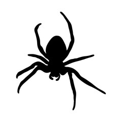 Black Silhouette of Spider Isolated