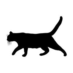 Black Cat Silhouette in Walking Pose vector illustration