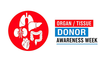 Organ Donor Awareness Week Illustration with Red Circle Organs and Text on White Background health