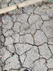 A captivating scene showcasing cracked dry soil with emerging vegetation