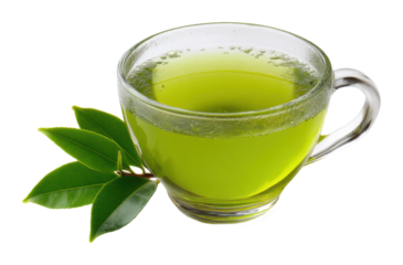 Brewing green tea kitchen beverage cozy. Isolated on transparent background, png.