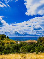 Obraz premium A winding road curves through sunlit grassy hills beneath a vivid blue sky filled with fluffy white clouds. Forested slopes and distant valley add depth and calm beauty