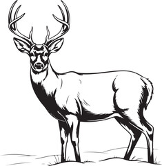 Majestic whitetail deer buck standing proudly with antlers silhouette isolated on transparent background