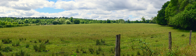 Panoramic photo of a green cow pasture surrounded by forests, against a blue sky with white clouds. Location (France)
