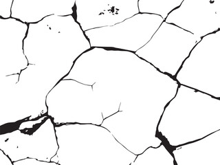 Abstract black and white cracked pattern silhouette isolated on transparent background