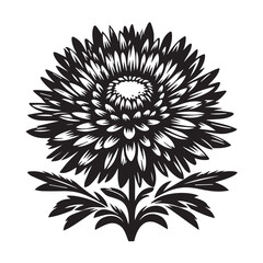 Aster black and white silhouette vector icon
