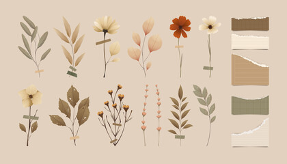 Timeless Dried Floral Display Collection