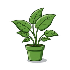 Fototapeta premium Healthy Green Houseplant in Pot with Large Leaves in Bright Indoor Setting