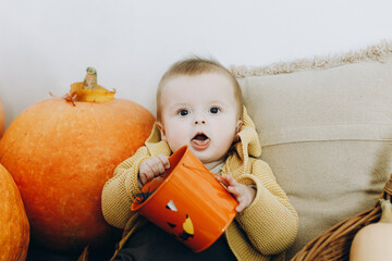 Trick or treat. Cute happy baby boy sitting with jack o lantern bucket, pumpkins, autumn leaves and...