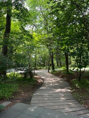 Fototapeta premium scenery in Karuizawa, Nagano, Japan 