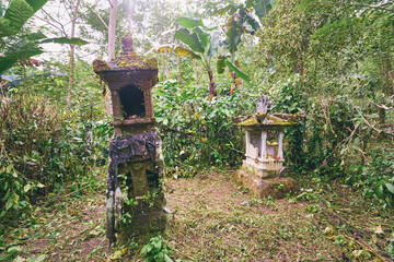 Ancient Moss-Covered Stone Shrines in a Lush Tropical Forest Clearing