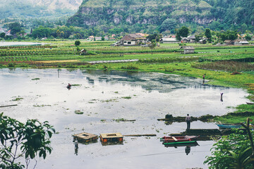 Scenic Rural Village Landscape with Fields, Lake, and Distant Hills