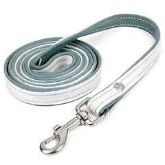 Neatly Rolled Dog Leash Isolated on White Background | Pet Accessory Flat Lay


