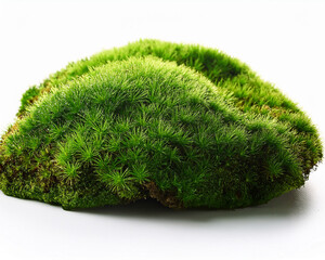Green grass sphere on white, an abstract nature concept of earth and ecology
