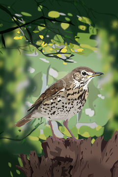 Illustration of a bird in the forest