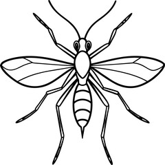 Fototapeta premium Detailed line art illustration of a crane fly with exceptionally long legs isolated on white background