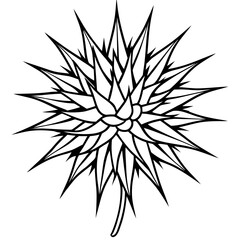 Fototapeta premium Detailed line art illustration of a thistle flower with spiky edges isolated on white background