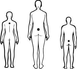 Early, cancer, diagnosis can be included following wayEarly cancer diagnosis is crucial and this medical illustration shows