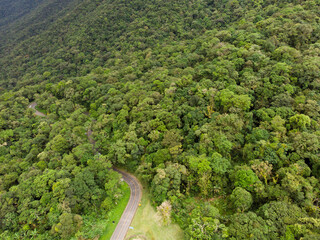 green area with mountains and Atlantic forest in the municipality of Morretes in the state of Paraná, Brazil