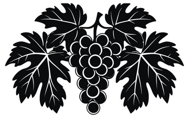 Black grape cluster with leaves fruit vine © SALINA