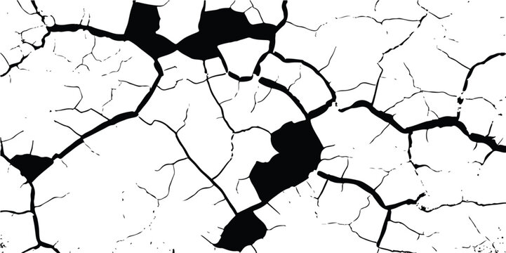 Black spider on a white concrete surface with grunge texture and peeling paint cracks