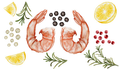 Shrimp watercolor set. Hand drawn crustacean and spices, rosemary, lemon on isolated white background. Food clip art. Ideal for restaurant menus, product packaging and cookbook design