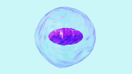 Cell with nucleus, colorful background, Wallpaper