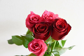 赤とピンクのばら