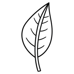 Hand drawn doodle leaf on white background.