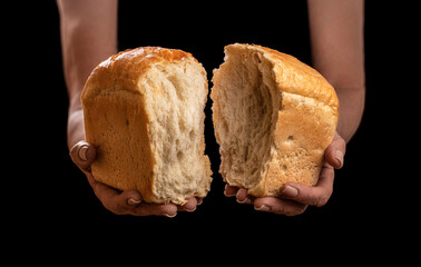 Male hands breaking freshly baked bread, closeup. Baker females hands breaks in half fresh baked...